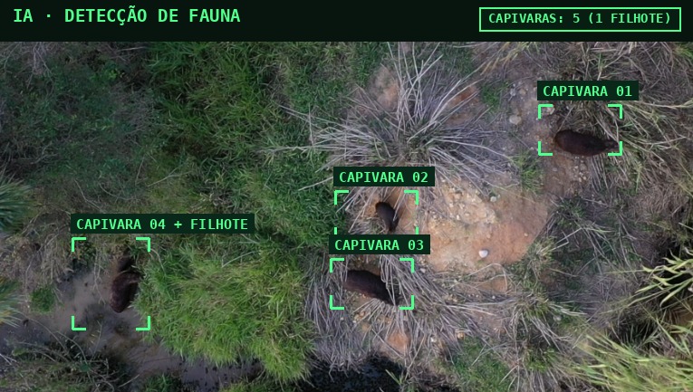 Imagem aérea de capivaras com detecção automática por IA, caixas delimitadoras e contagem de indivíduos