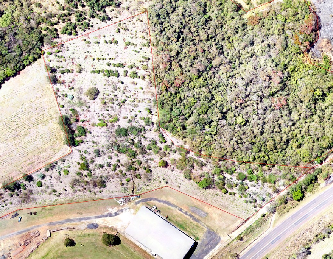 Imagem aérea de área de reflorestamento com delimitação em vermelho e vegetação em regeneração